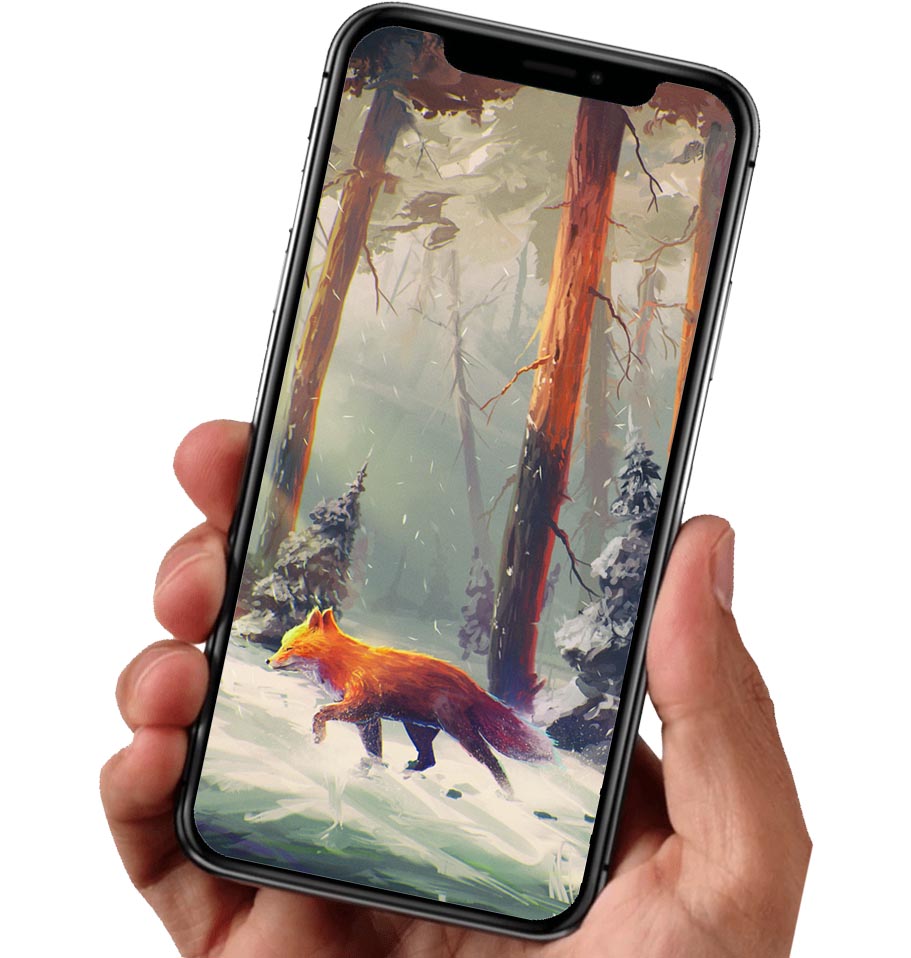 Fonds d'Écran Renard